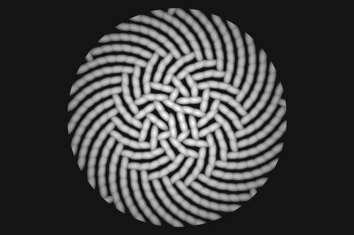 Graustufenbild eines Spiralmusters, das wie Sonnenblumenkerne angeordnet ist — hell steht für hoch, dunkel für tief